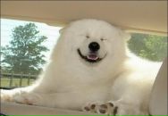 Фотография Лебедевой Ксении