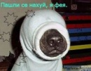 Петр Шицын фотография #41 (источник - https://vk.com/id17328919)