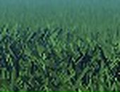 Сергій Дейнеко фотография #4 (источник - https://vk.com/id25870846)