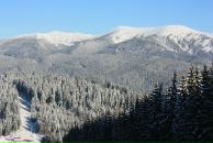 Олексій Підлубний фотография #32 (источник - https://vk.com/id13157390)