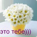 Діаночка Демянчук фотография #4 (источник - https://vk.com/id138263915)