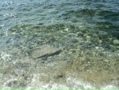 Юлія Зарицька фотография #45 (источник - https://vk.com/id143858004)