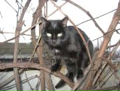 Фотография Русляевой Юлии