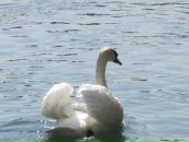 Фотография Тагаевой Марины