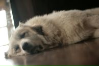 Slash Dot фотография #44 (источник - https://vk.com/id614985)