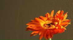 Фотография Крюковой Евгении