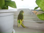 Фотография Марцевой Евгении