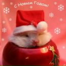 Фотография Большаковой Алёны