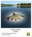 Борис Мацьків фотография #27 (источник - https://vk.com/id162015668)