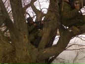 Фотография Сухова Виктория