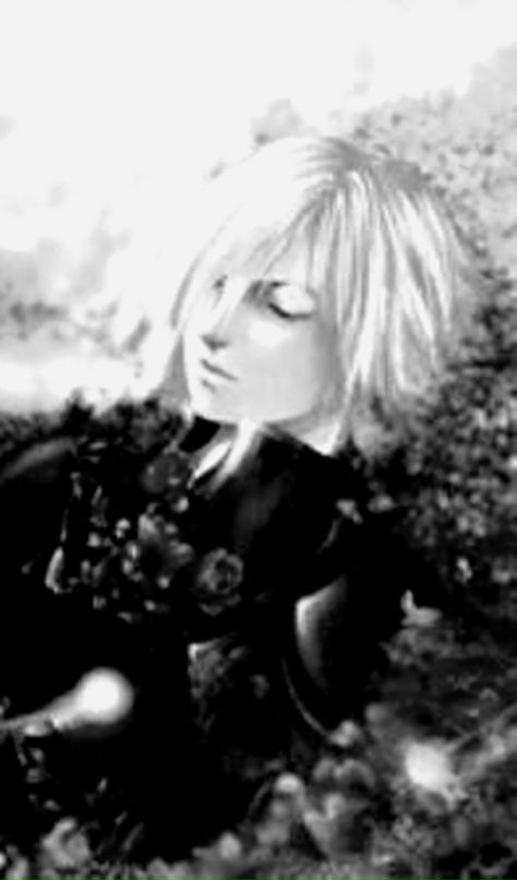 Kadaj Silver фотография #9