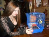 Фотография  