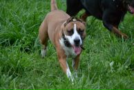 Фотография Приваловой Виктории