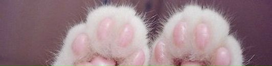 Коля Луців фотография #8 (источник - https://vk.com/id66166396)