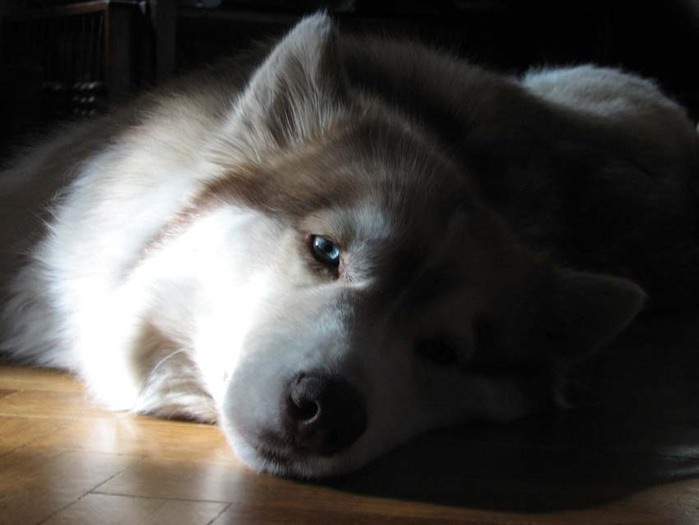 Michael Morris фотография #40