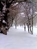  фотография #10