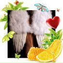 Фотография Валиулловой Алины