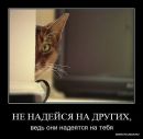 Ірина Яворська фотография #46 (источник - https://vk.com/id143432156)