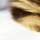 Віта Сердюк-Леута фотография #50 (источник - https://vk.com/id68379910)