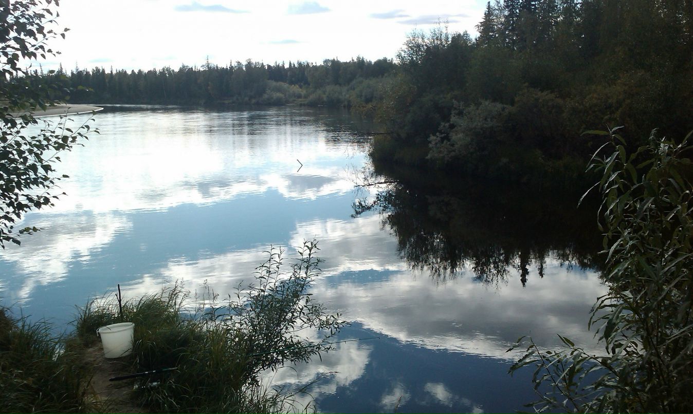 Рамиль Валеев фотография #42