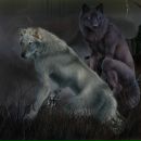 Фотография Филонова Вадима