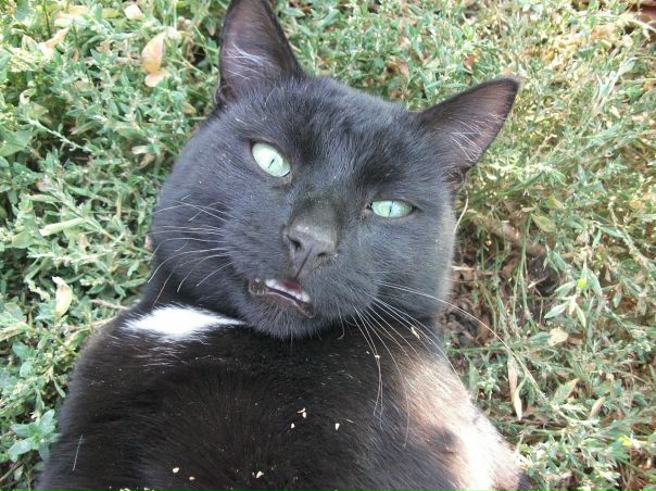 Илья Агашкин фото №28