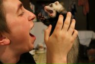 Фотография Багаева Александра