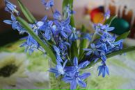 Фотография Понамарёвой Оксаны