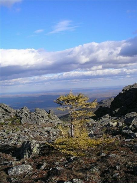 Модест Князев фото №9