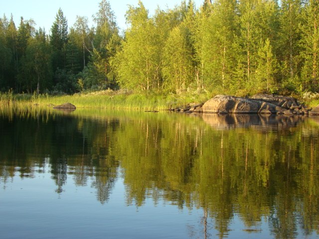 Ирина Городецкая фотография #13