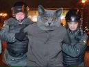 Фотография Коротеева Владимира