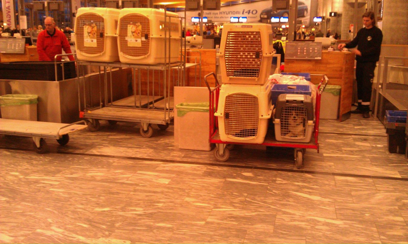 Антон Устюгов фотография #37