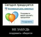 Денис Волков фотография #24 (источник - https://vk.com/id188354)