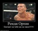 Сергій Ткаченко фотография #1