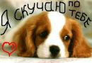 Іра Дуда фотография #22 (источник - https://vk.com/id62114756)