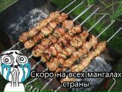 Антон Савельев фотография #27 (источник - https://vk.com/id92813556)