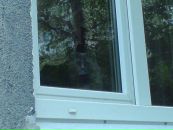Наталія Гур'янова фотография #29 (источник - https://vk.com/id30916353)