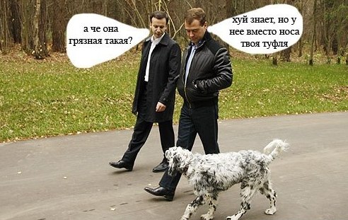 №2, Владимир Горбачев №2, Владимир Горбачев