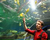 Дмитрий Поцелуев фотография #23 (источник - https://vk.com/id15425947)