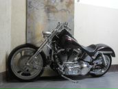 Фотография Политрова Спартака