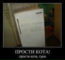 Влад Алієв фотография #34 (источник - https://vk.com/id135475926)