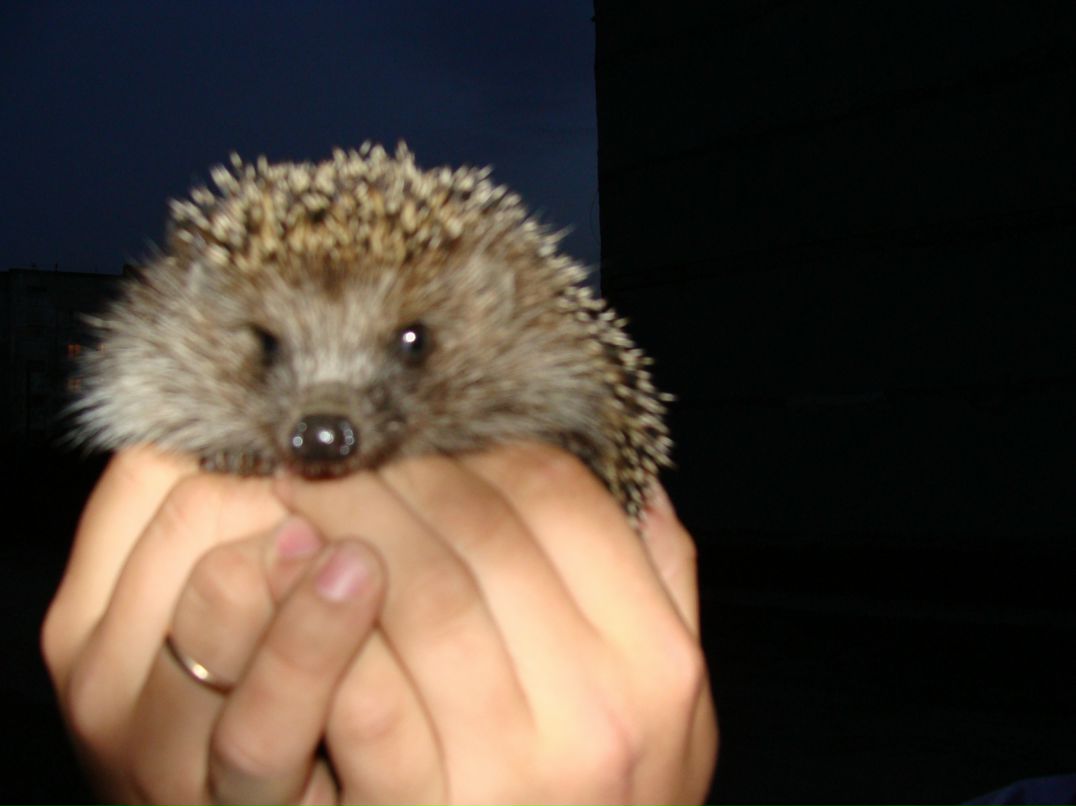 Влад Стадник фотография #6