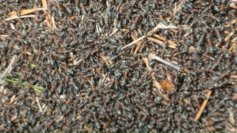 Сергей Рылов фотография #35