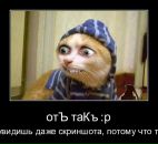 Фотография Чуприяновой Анюты