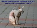 Лілія Наконечна фотография #3 (источник - https://vk.com/id121495856)