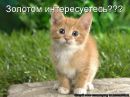 Александр Иванов фотография #35 (источник - https://vk.com/id30332384)