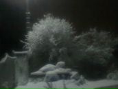 Фотография Гонтарева Александра