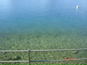 Анна Кравченко фотография #22 (источник - https://vk.com/id5500320)