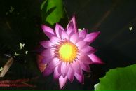 Фотография Шадриной Ирины