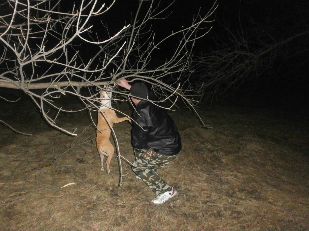 Роман Василенко фотография #36